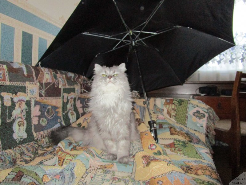 Фото: Светлана Фролова