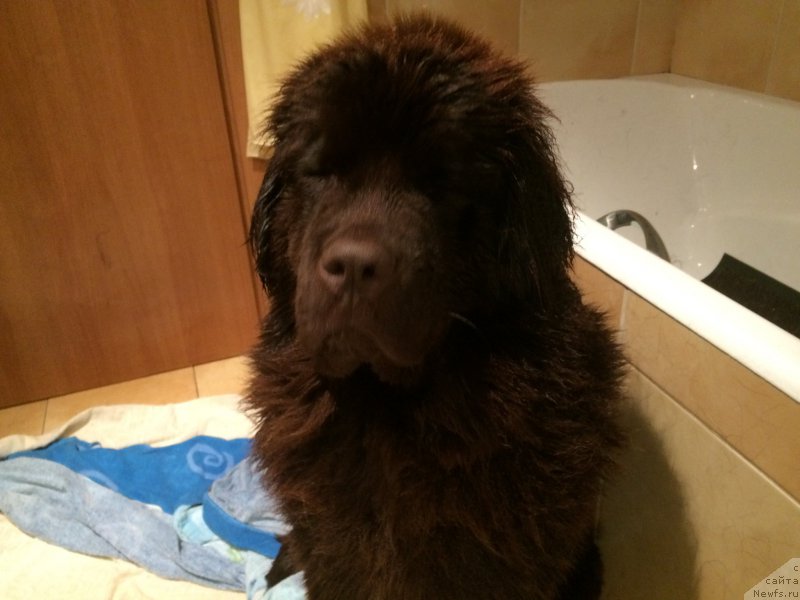 Фотография № 195526