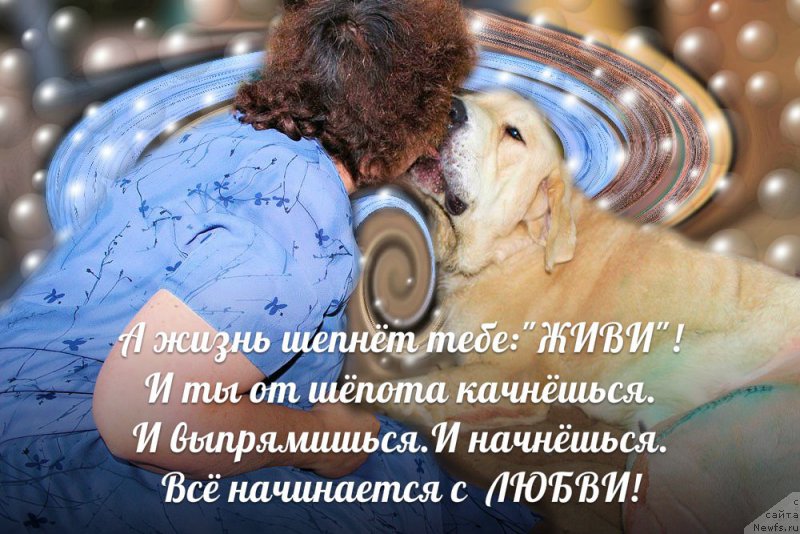 Фотография № 195553