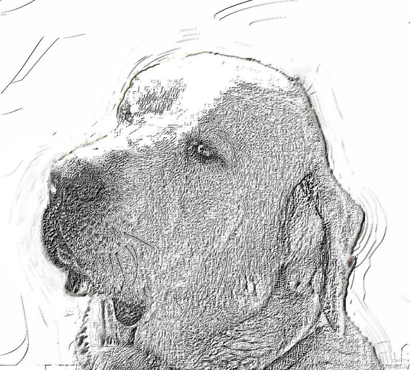 Фотография № 195554