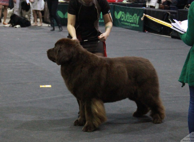 Фотография № 195578