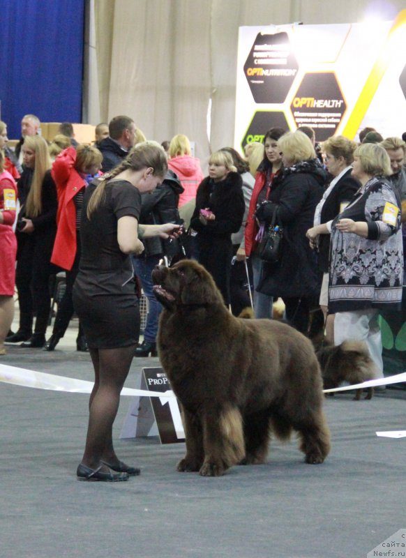 Фотография № 195579