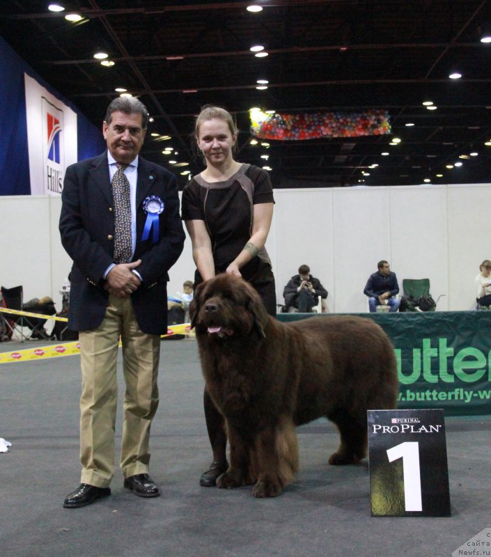 Фотография № 195580