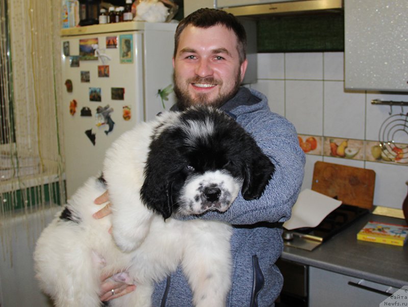 Фотография № 195617