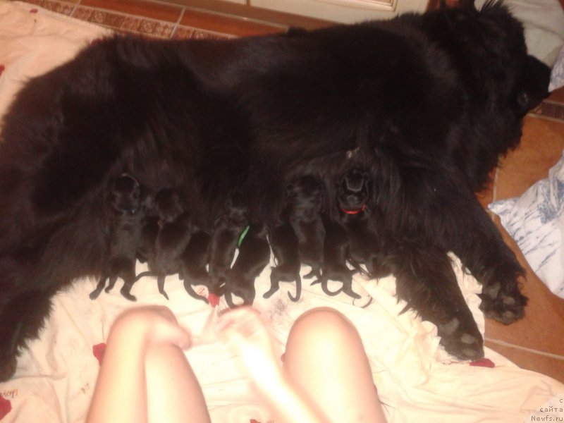 Фото: Елена Зурахова