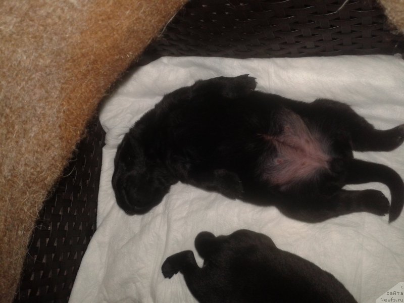 Фото: Елена Зурахова