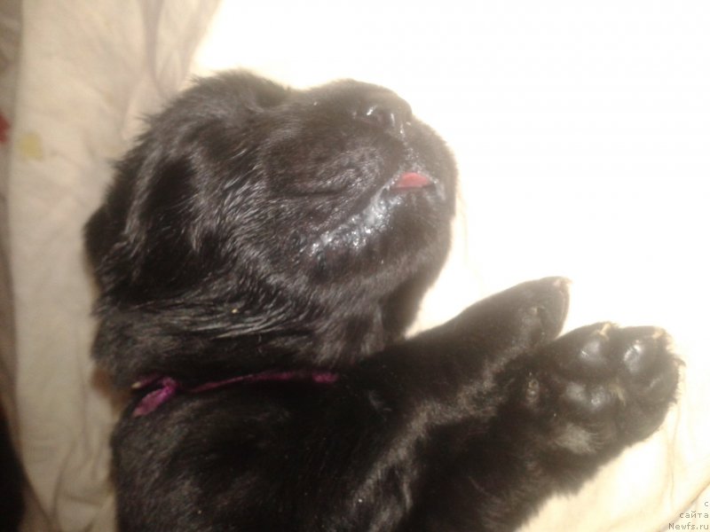 Фото: Елена Зурахова