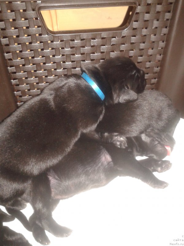 Фото: Елена Зурахова