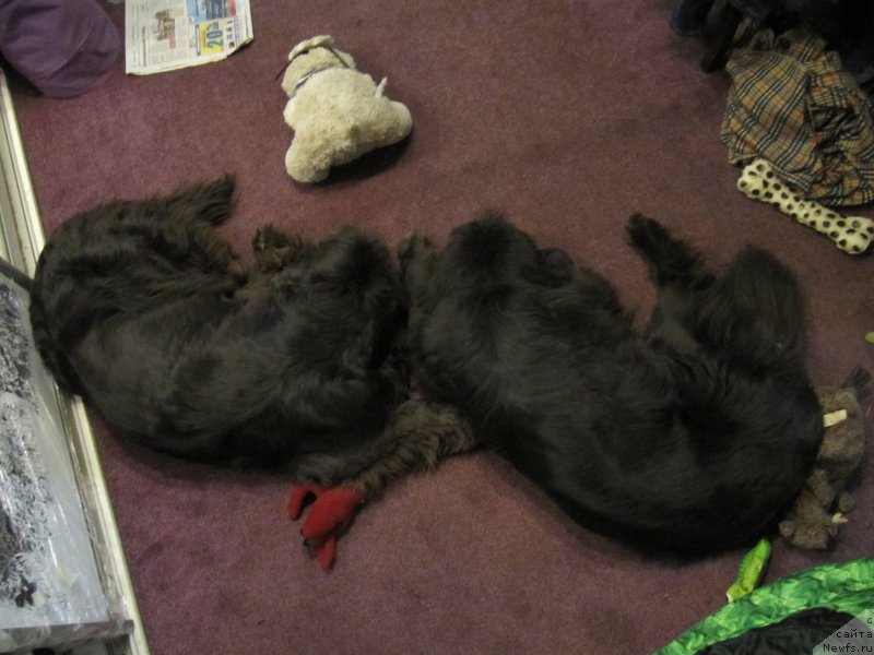 Фотография № 195658