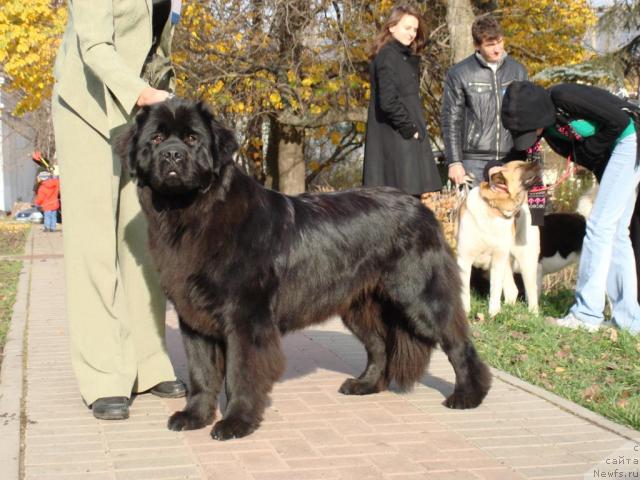 Фотография № 19569