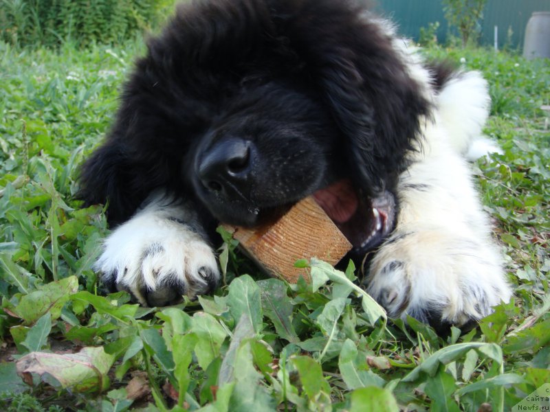 Фото: Ольга Мартынова