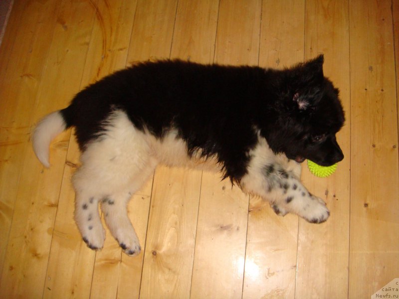 Фото: Ольга Мартынова