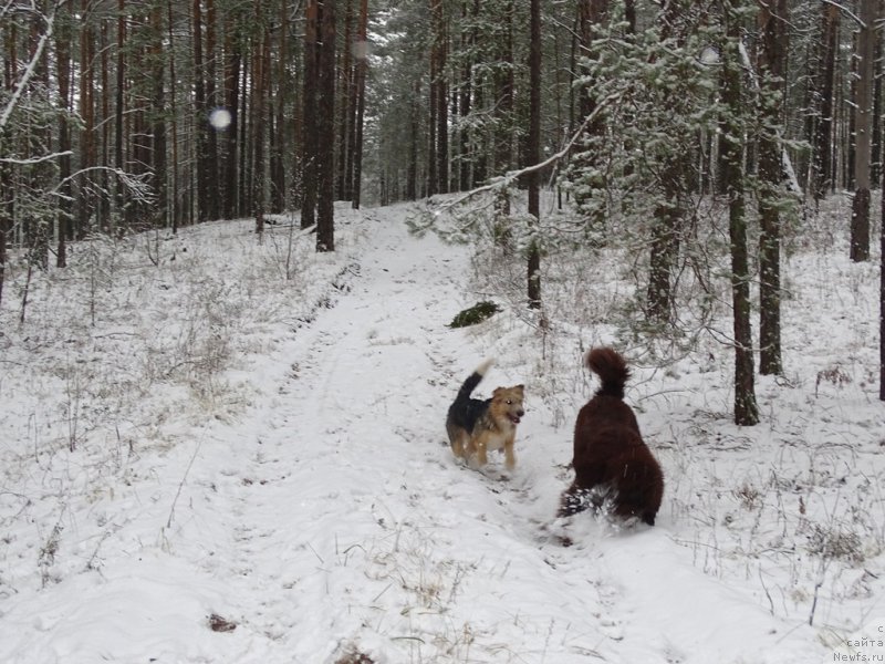 Фотография № 195699