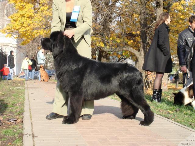 Фотография № 19570