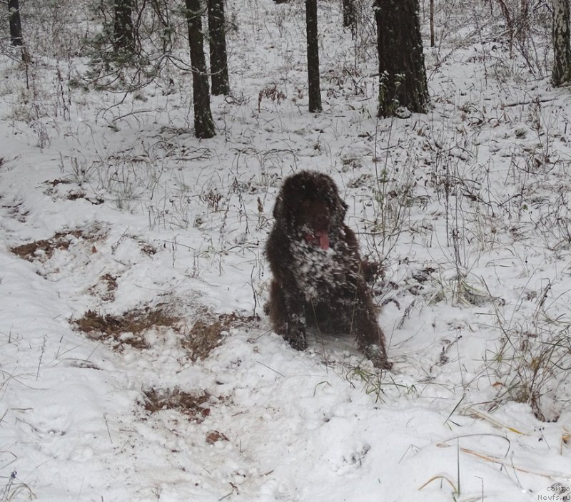 Фотография № 195700