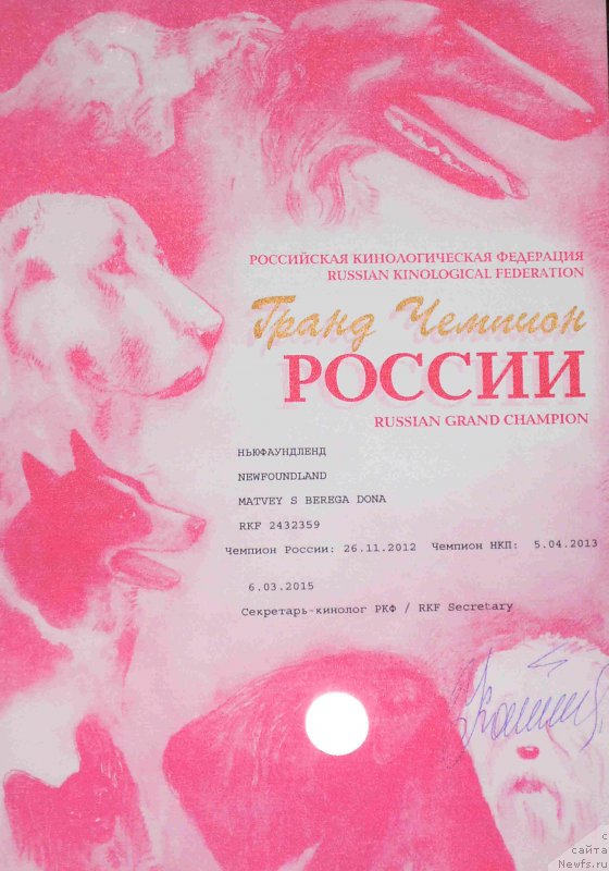 Фотография № 195703