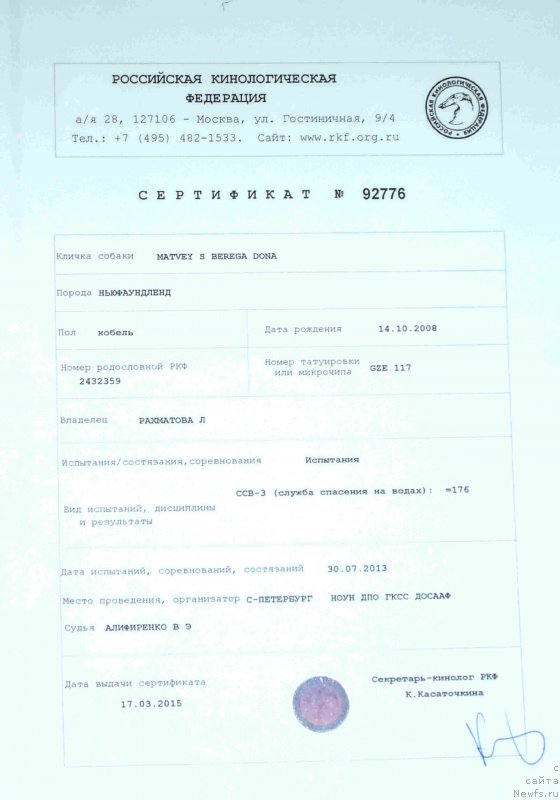 Фото: ньюфаундленд Матвей с Берега Дона (Matvey s Berega Dona)