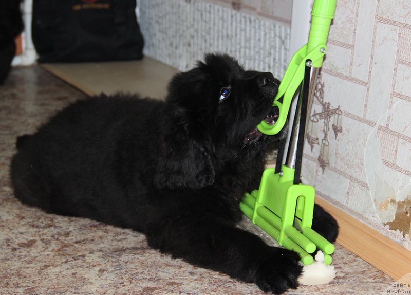 Фотография № 195719