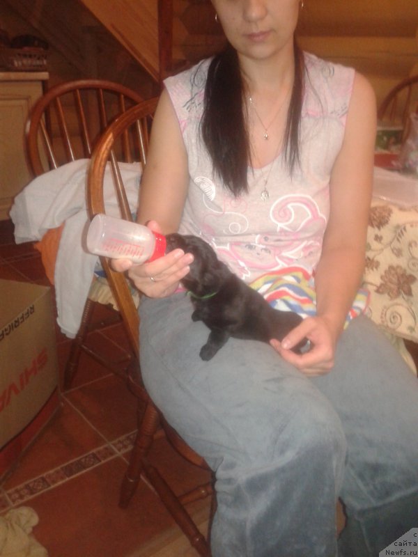 Фото: Елена Зурахова