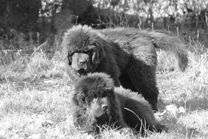 Фотография № 195753