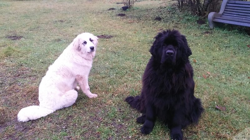 Фотография № 195780