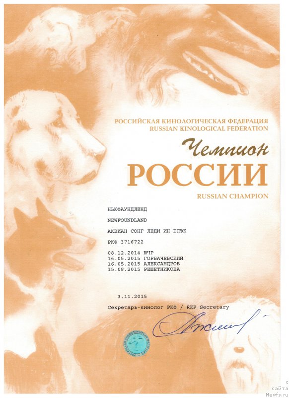 Фотография № 195793