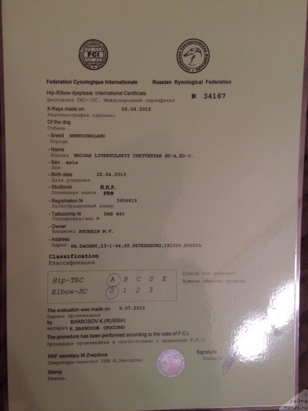 Фотография № 195840