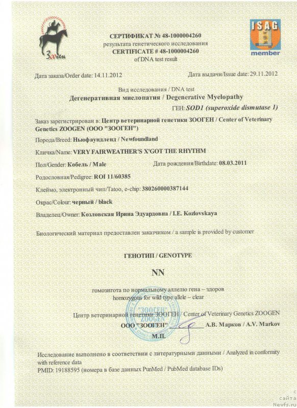 Фото: ньюфаундленд Very Fairweathers X'Got The Rhythm