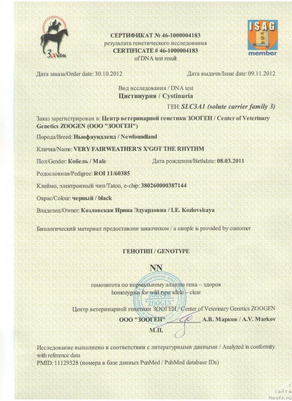 Фото: ньюфаундленд Very Fairweathers X'Got The Rhythm