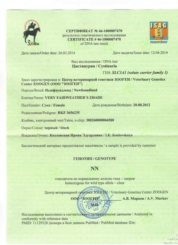 Фото: ньюфаундленд Very Fairweathers Zhade