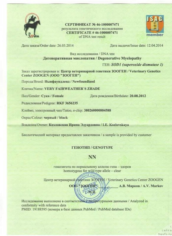 Фото: ньюфаундленд Very Fairweathers Zhade