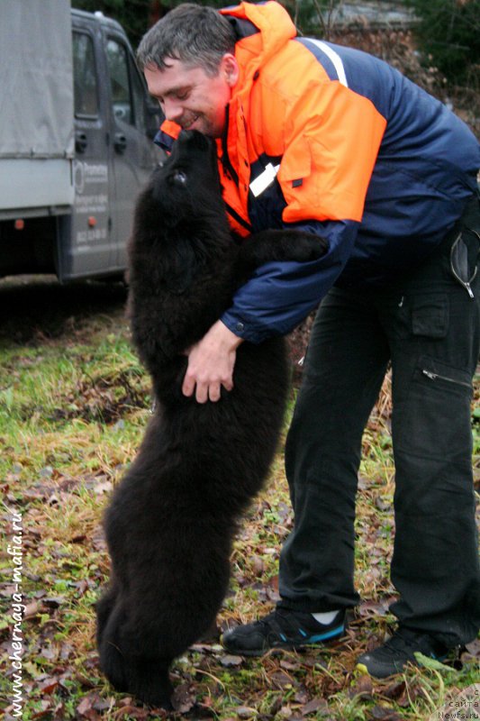 Фотография № 195899