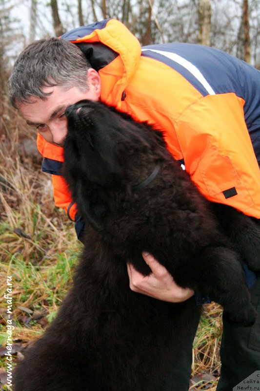 Фотография № 195900