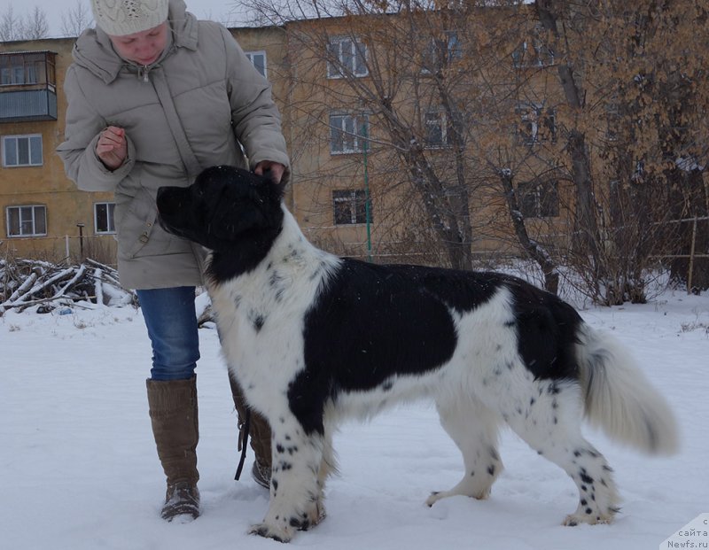 Фотография № 195901