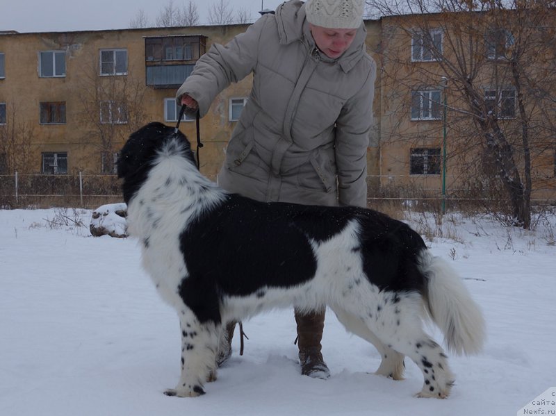 Фотография № 195902