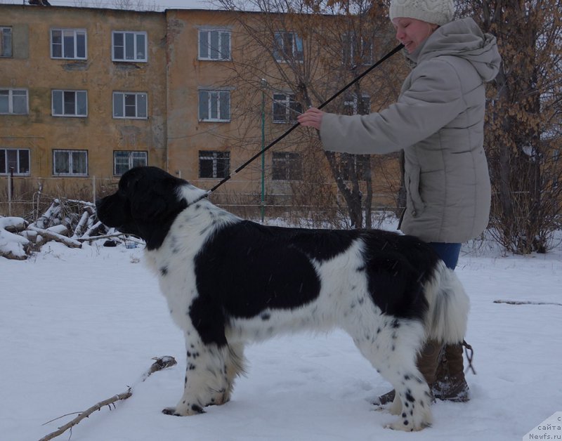 Фотография № 195903
