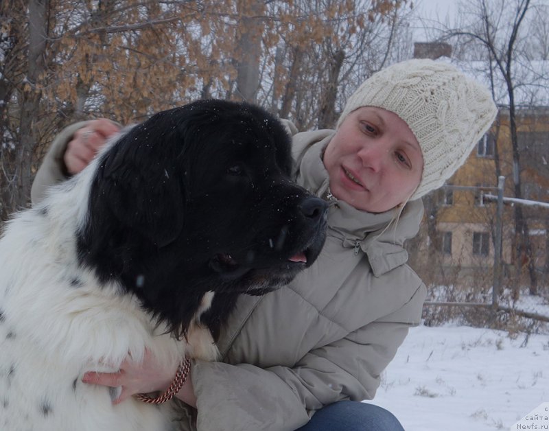 Фотография № 195905