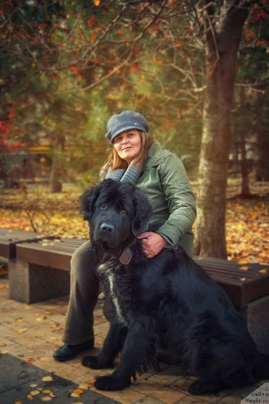 Фотография № 195937