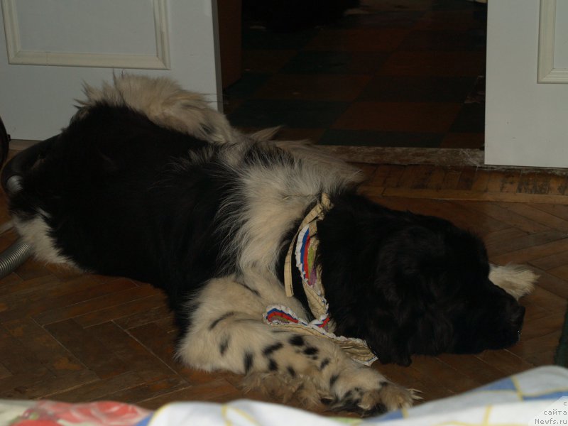 Фотография № 195940