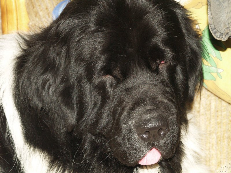 Фотография № 195942