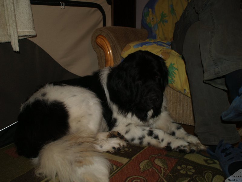 Фотография № 195943