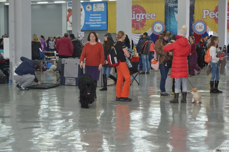 Фотография № 195946