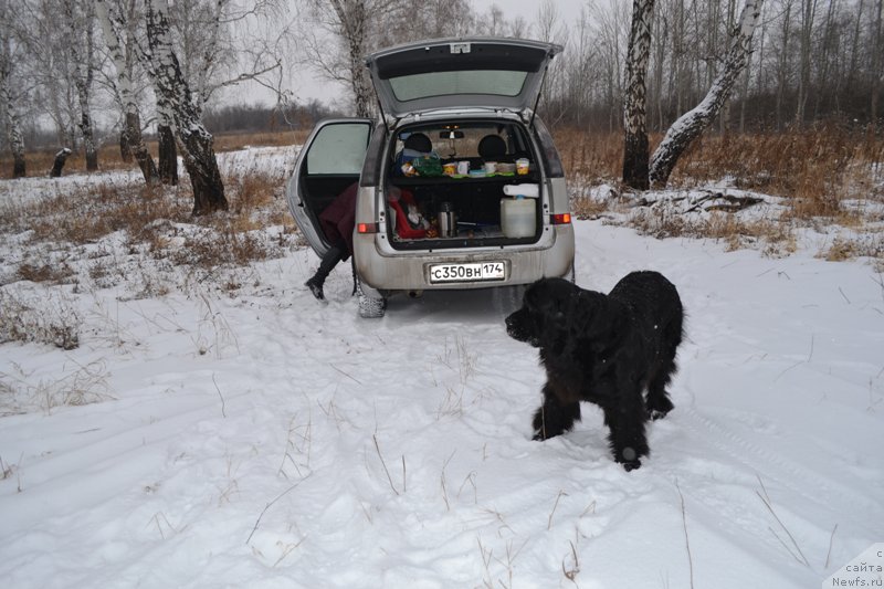 Фотография № 195952