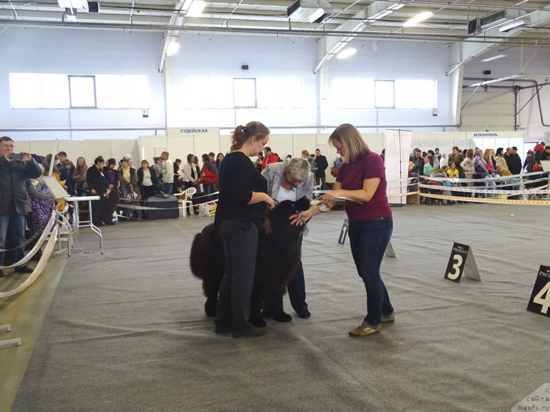 Фотография № 195955