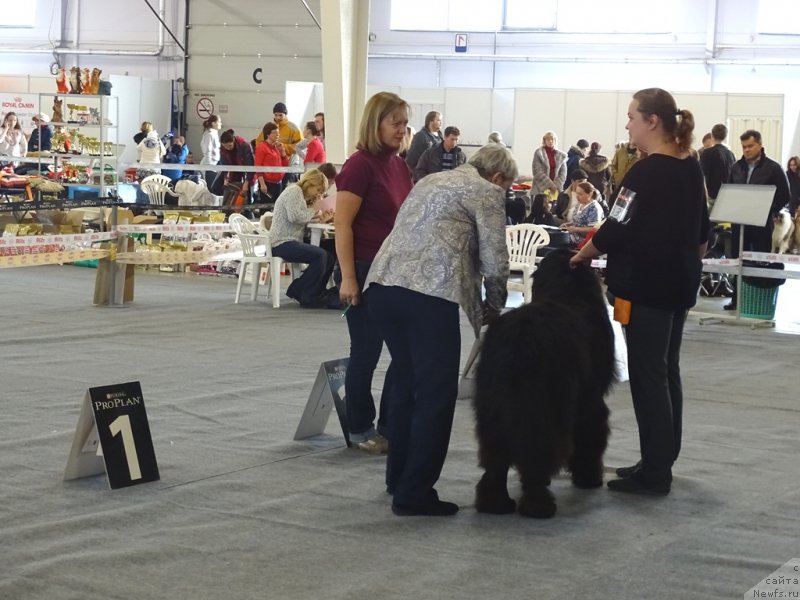 Фотография № 195956