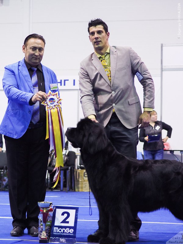 Фотография № 195962