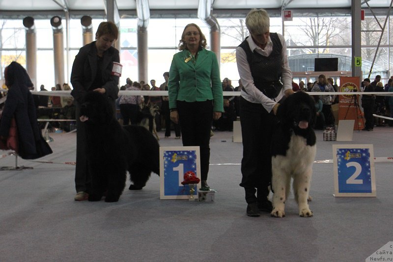 Фотография № 195968