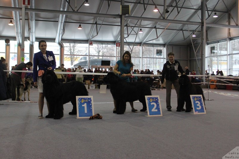 Фотография № 195970