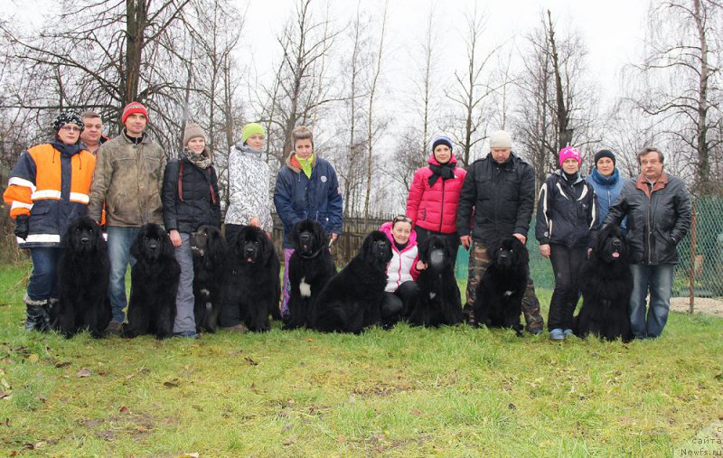 Фотография № 195972