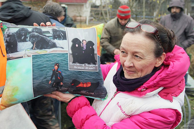 Фотография № 195975